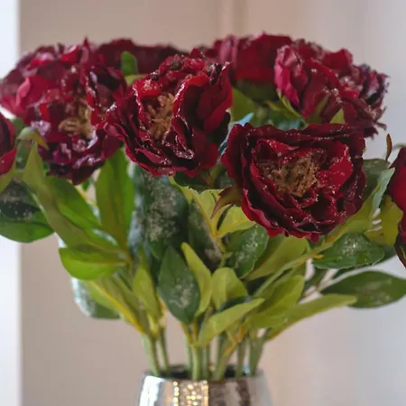 Dom wakacyjny Vanessa *