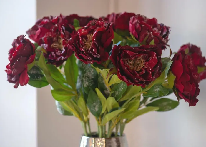 Σπίτι διακοπών Vanessa *